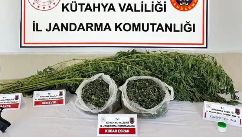 Kütahya’da Uyuşturucu Operasyonu: Güvenlik Güçleri Bir Kişiyi Yakaladı!