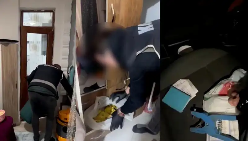 Hayvan Sevk Belgesi Operasyonunda Dokuz Gözaltı: Usulsüzlükler Çökerildi