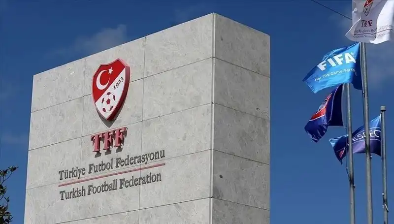 Türkiye Profesyonel Liglerinde Takım Sayısı Hızla Azalıyor: Nedenleri ve Sonuçları