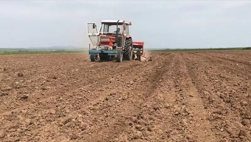Son 35 Yılın En Kurak Mart Ayı: 2023'te Yağış Miktarı Yüzde 59 Düştü
