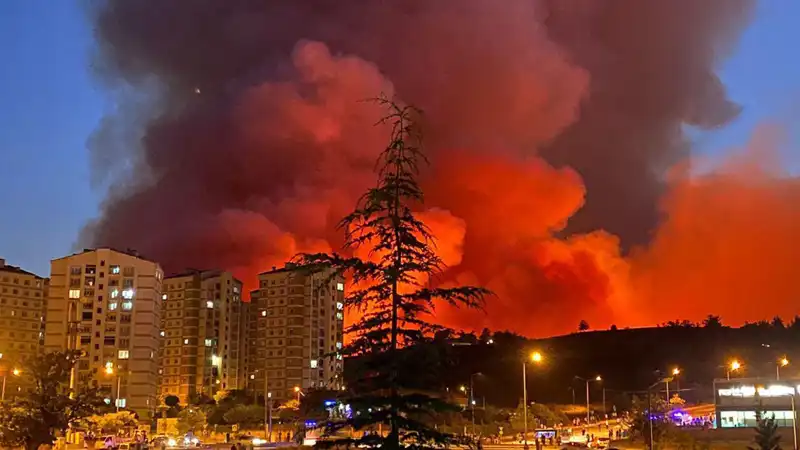 Bursa’da Yangın Alarmı! Şehirdeki Yeşil Alanlar Tehlikede