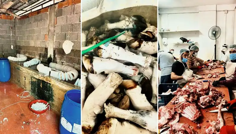 Adana'da Ticaretin Yüz Karasına Tanık Olun: Yüzlerce Kilo Paça Ele Geçirildi!