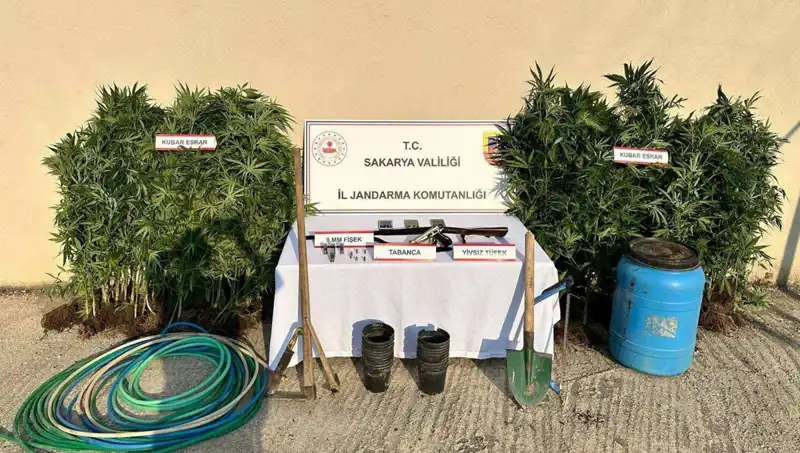 Sakarya'da Uyuşturucu Operasyonu: Bir Şahıs Tutuklandı, Detaylar Ortaya Çıktı