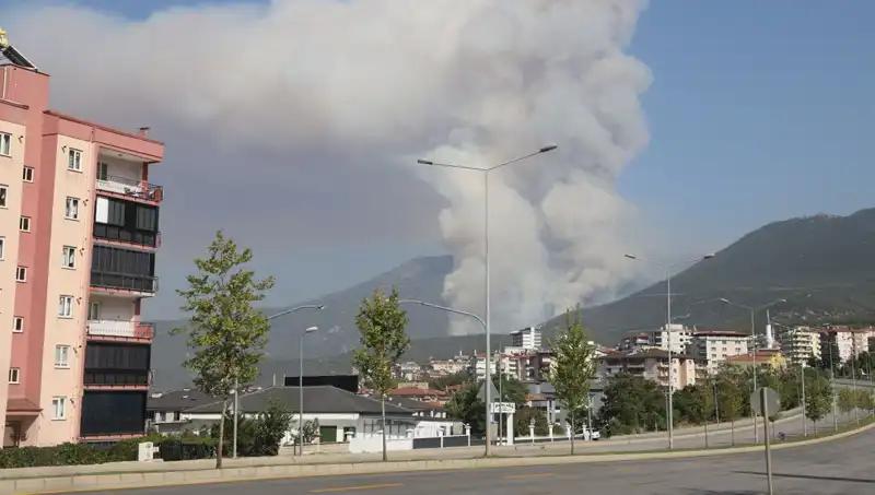 Denizli Orman Yangınında Şok Gelişme: Bir Şüpheli Gözaltına Alındı!