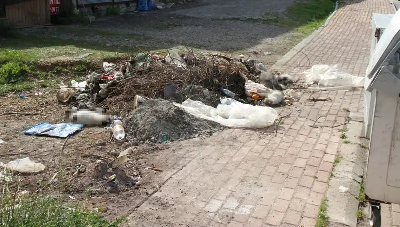 Antalya'da Vahşet: 10 Kedinin Ölümü, Çevreyi Şoke Etti