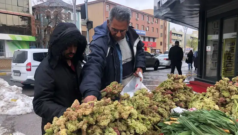 Kendiliğinden Yetişen Bu Bitki, Kanser Tedavisinde Devrim Yarattı!