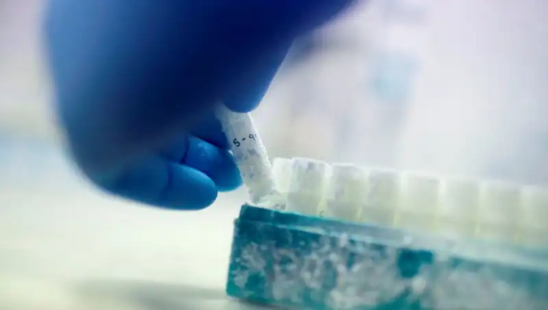 Tıbbi Felaket: 85 Sperm Donörü Binlerce Çocuğa Baba Olduğu Ortaya Çıktı