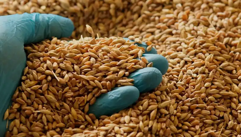 Kalp Hastalığı Riskini Düşüren Beslenme Şekilleri: Uzmanın Önerileri