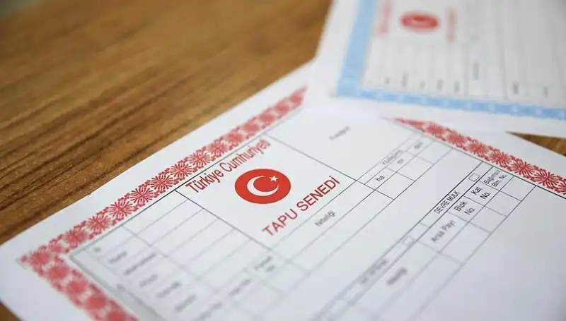 100 Milyonluk Sahtekarlık: Hisseli Tapu Yalanıyla Büyük Tuzağın Deşifresi