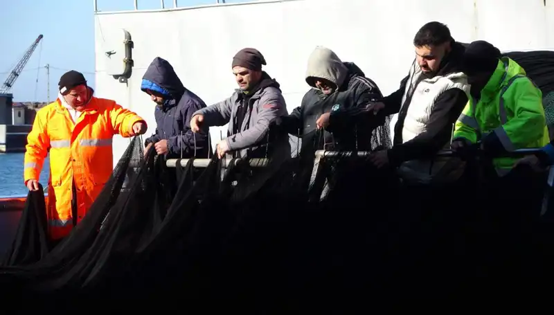 Denizlerde Hamsi Avında Şok: Tekneler Erken İnecek mi?