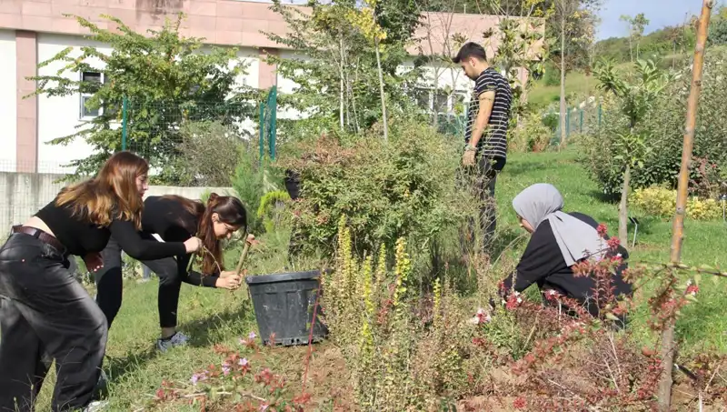 Düzce'nin Gururu: Hayaldi Gerçek Oldu, Şimdi Dünyada Tanınıyor