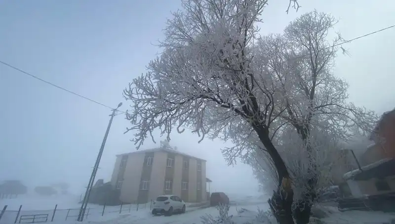Gölde Eksi 18 Derece: Doğa Harikası Donma Manzaraları