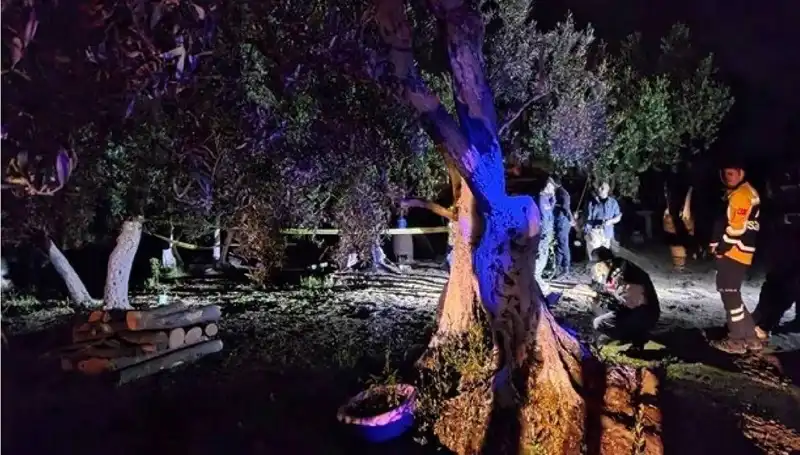 Çiftlikteki Dehşet! Baltalı Vahşet Sonunda Yakayı Ele Verdi