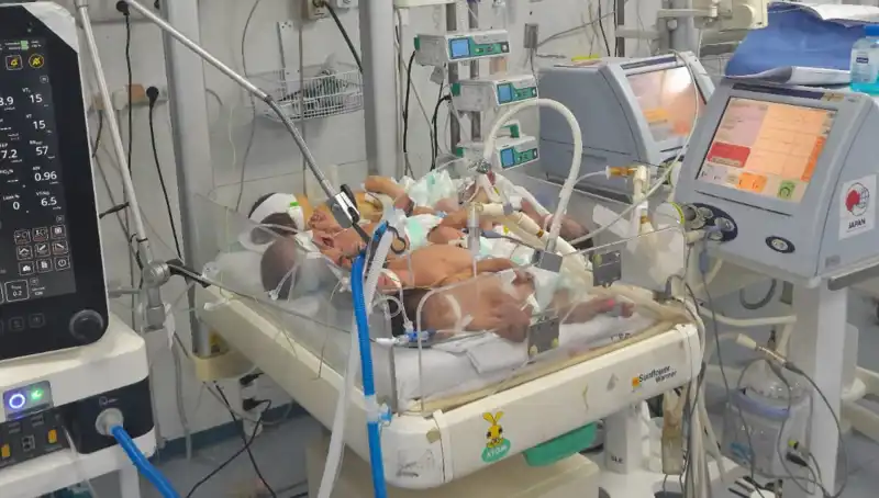Gazzeli Doktorların Çağrısı: "Kuvözlerde Çok Sayıda Bebek Tehlikesi Var!"