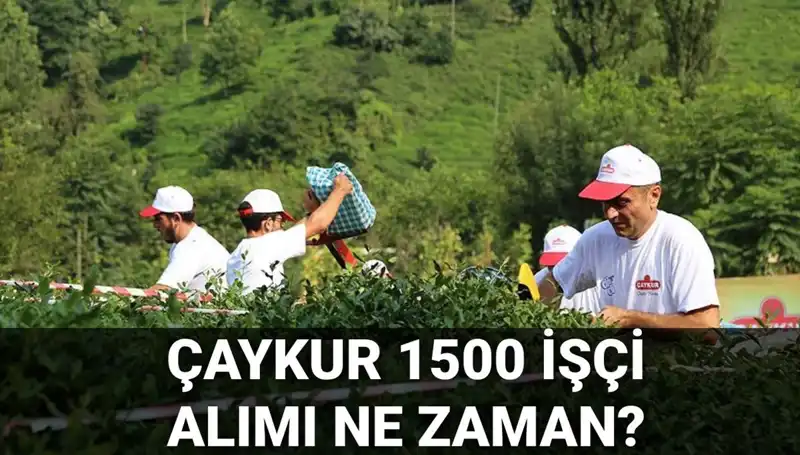 Çaykur İşçi Alımı Süreci: Başvurular Ne Zaman Başlayacak?
