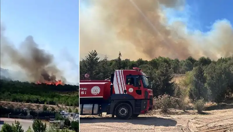 Gebze’de Korkutan Orman Yangını: Alevler Etrafa Yayılınca Neler Oldu?