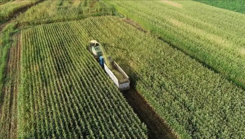 2025 Mart Ayında Mazot ve Gübre Desteği Ödemeleri: Son Durum ne?