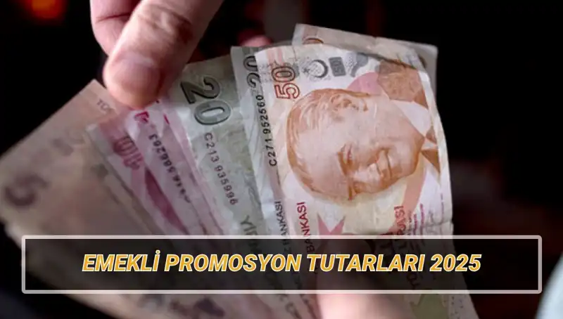 2025'te Emekli Banka Promosyonu Rekabeti: Hangi Banka Daha Fazla Sunuyor?