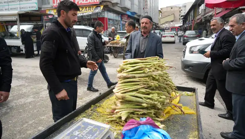 Dağlık Alanlardan Toplanan Şekerin Sağlığa Faydaları: Kanser ve Mide Hastalığına Karşı Etkisi