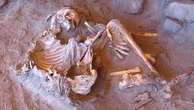 Yeni Mumya Keşfi: İnsanlığın Soy Ağacını Yeniden Şekillendiriyor!