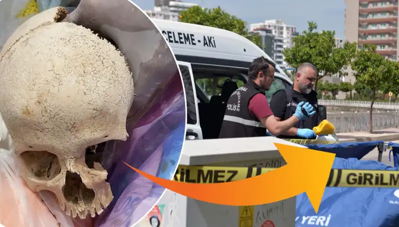 Sitenin Çöpünden Çıkan Kafatasının Gizemi ve Gözaltında Olan Uzman Doktor!