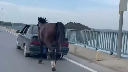 Adana'da Eziyet Eden Kişiye Yargıdan Sert Ceza İle Tutuklama