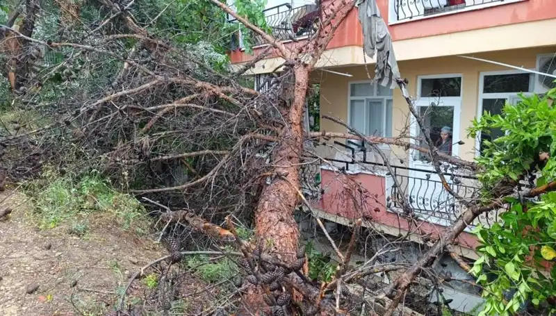 Yağmur, Yılın Olayını Getirdi: Bina Çöktü!