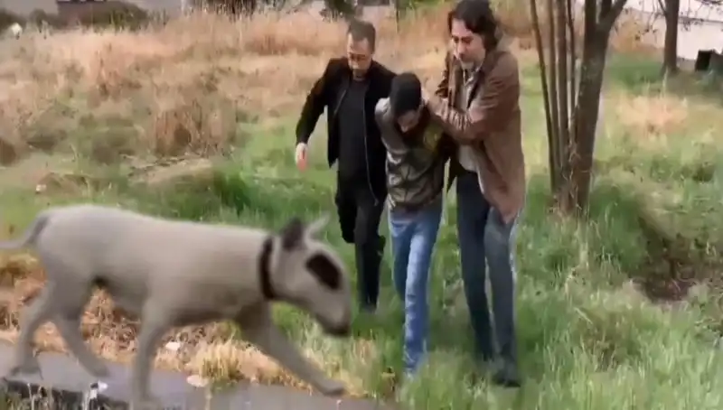 430 Bin Lira Değerindeki Şampiyon Köpek Hırsızlığına Son: Zanlı Yakalandı!